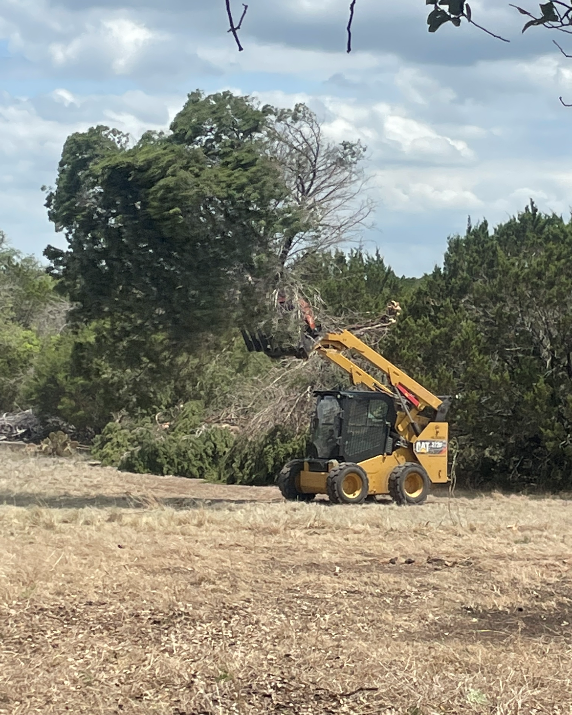 CAT skid steer lifting cedar debris during land clearing in Bertram TX