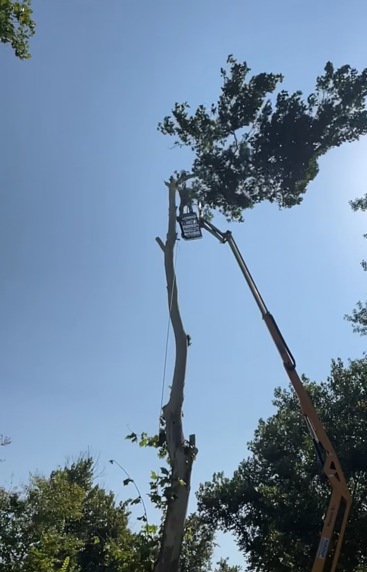 Flag Creek Tree Service crew in bucket crane trimming trees in Kingsland TX