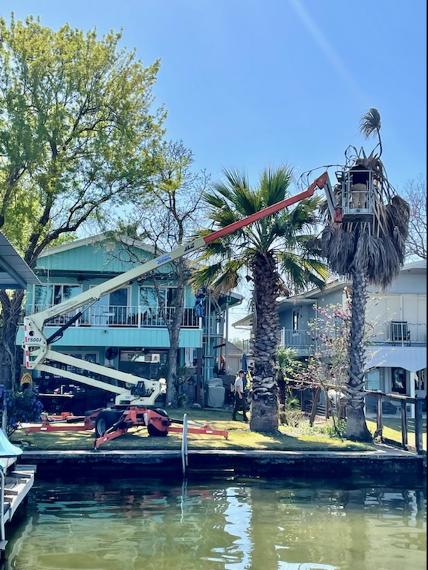 Boom lift trimming palm trees at lakefront property in Horseshoe Bay TX