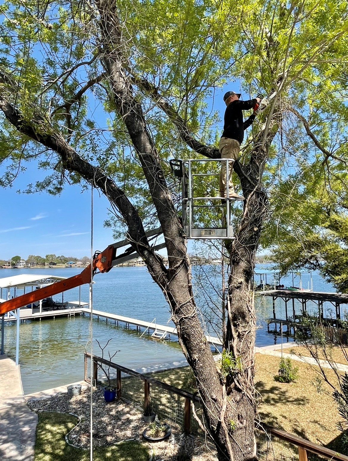 Crew member trimming tree in Marble Falls TX with crane equipment
