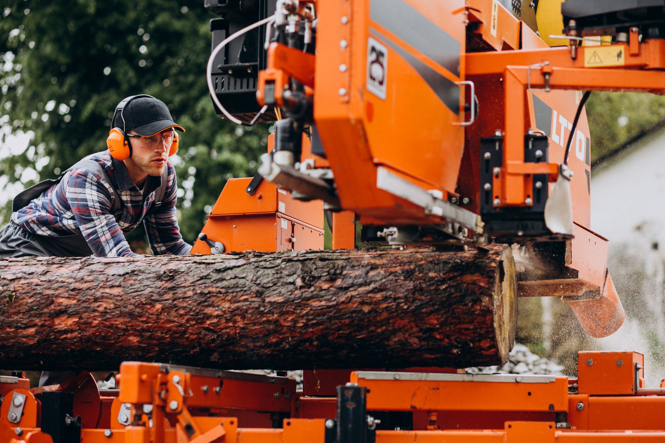 stump grinding
